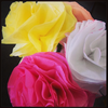 Tissue Paper Carnations Image